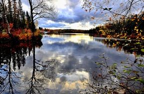 Reflection of the trees in water in autumn
