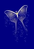 romantic butterfly pattern on a blue background