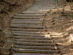 wooden stairs in the park