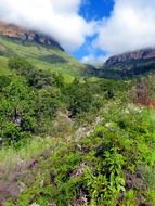 drakensberg mountains