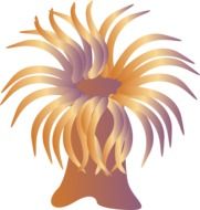 brown coral, illustration