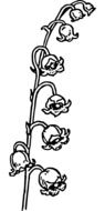 flower plant blossom drawing