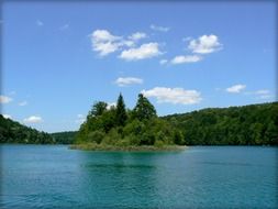 Tree island in a lake