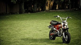 An orange motorcycle stands in a green meadow