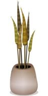 potted houseplant decoration