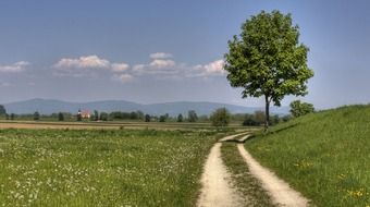 road to the dam from the bavarian forest