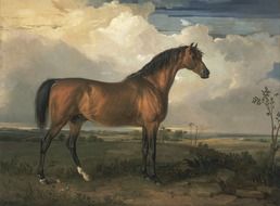 james ward art artistic painting horse picture