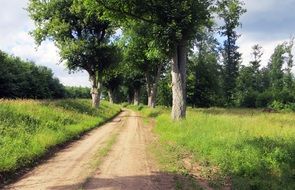 idyllic rural path