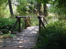 wooden bridge over a creek in the forest