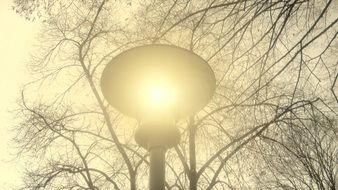 Picture of the lantern lamp on a street
