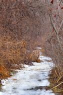winter snow path landscape