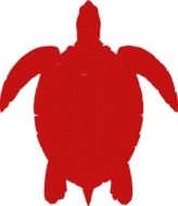 Red turtle clipart