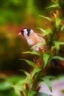 bird on a branch with green leaves