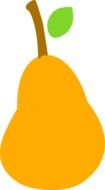 Drawing of the ripe orange pear