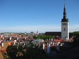 panorama of sunny old city, estonia, tallinn