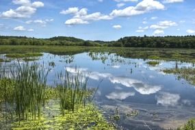 tranquil lake in Massachusetts, US