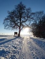 snowy landscape of countryside