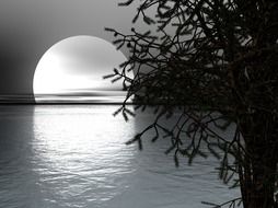 big bright moon in a sea of monochrome landscape