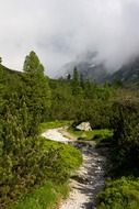 Mountain path for hiking