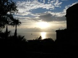 sunset on the ocean horizon behind the palm trees