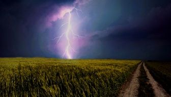 stormy sky and thunderstorm over a grain field