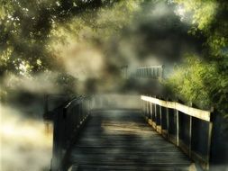 wooden bridge on a foggy day in the forest