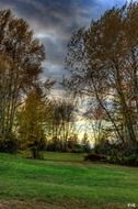 storm clouds over the forest