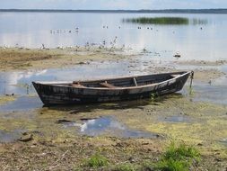 boat in a swampy lake