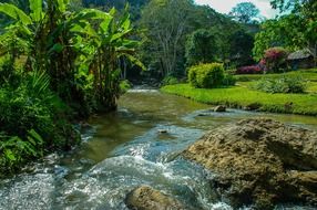 river in a picturesque park on a sunny day