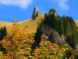 forested mountains, colorful autumn landscape
