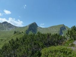 Landscape of the green mountains in Austria