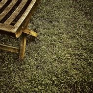 wooden chair on the grass