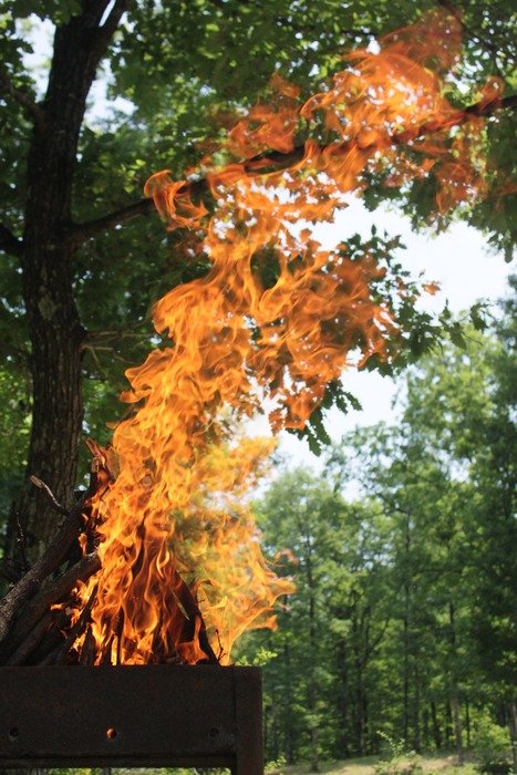 fire in the grill on the nature