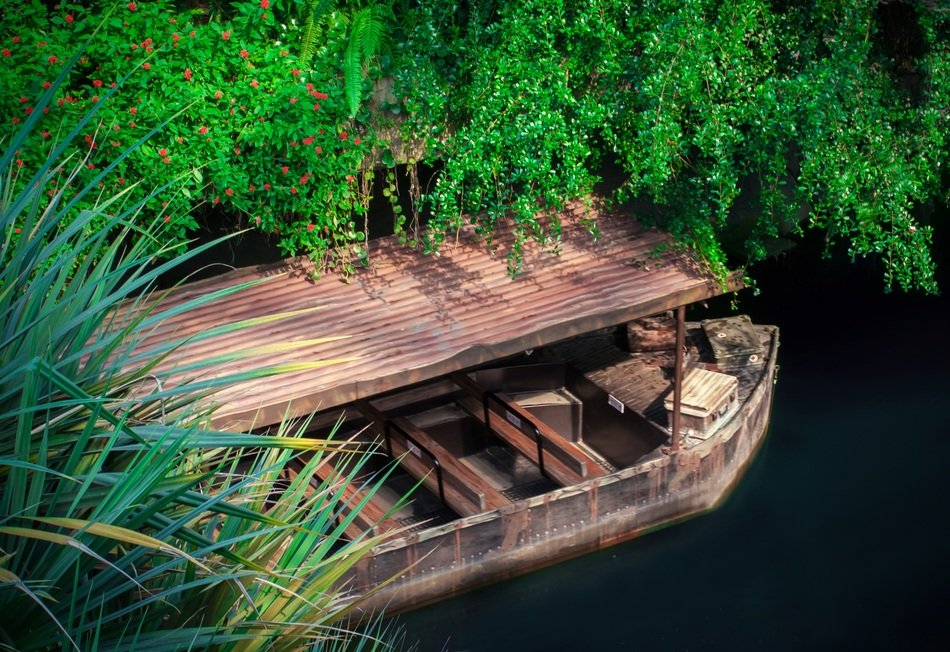 boat on the water under the branches of trees