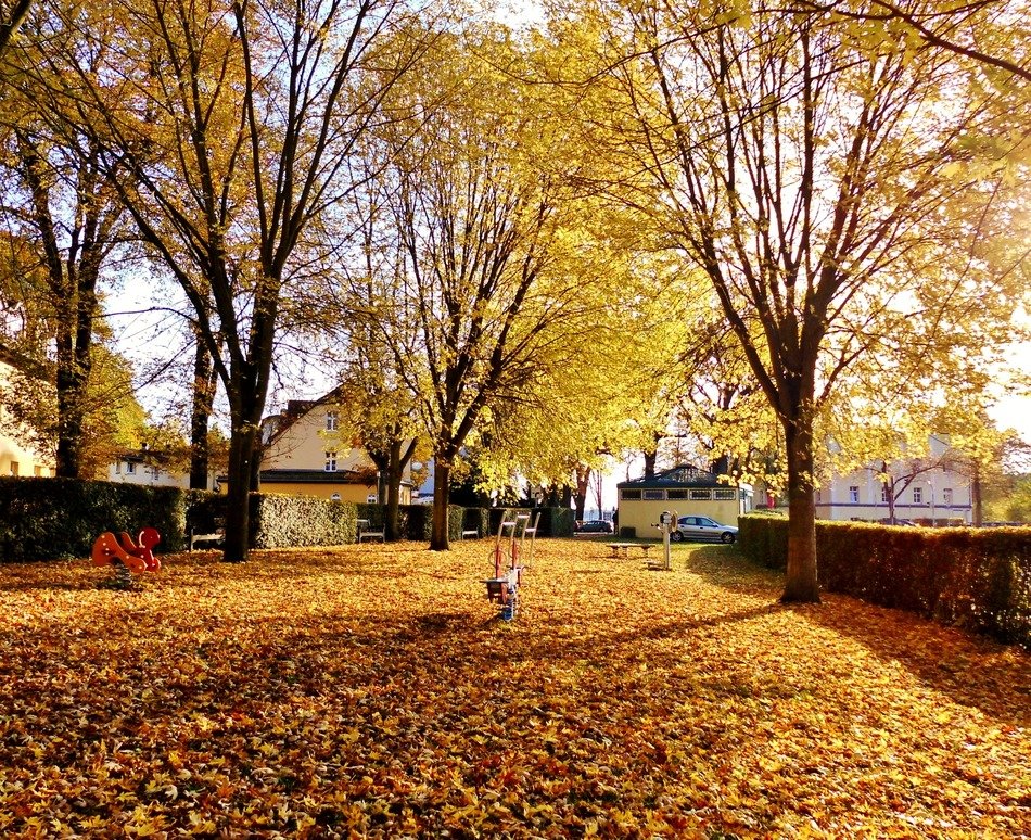 Autumn at the playground