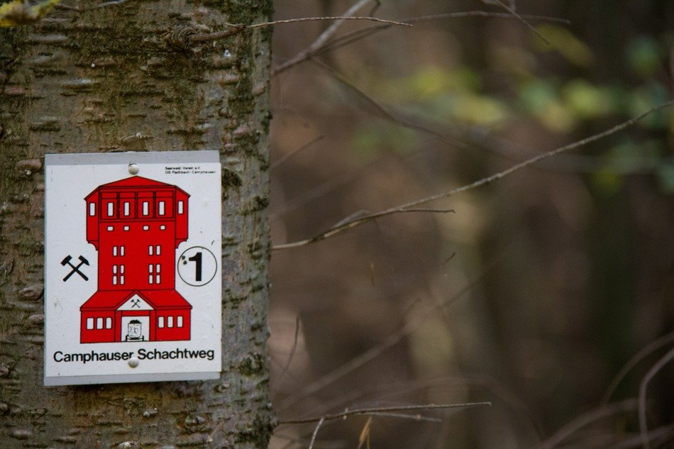 Miner symbol in the forest