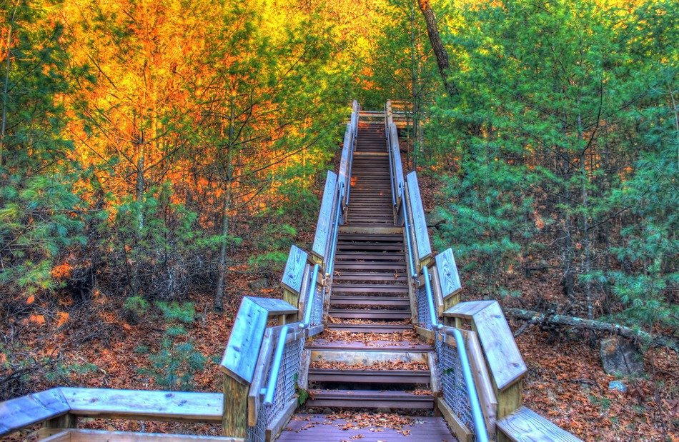 staircase in woods at fall