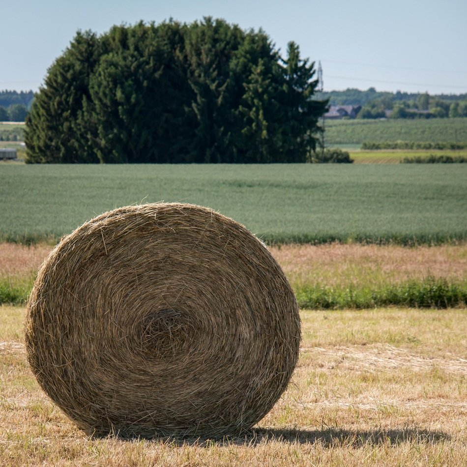 magnificent hay bales