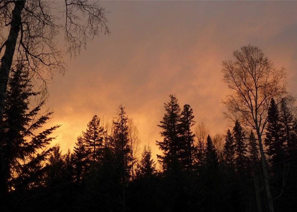 Winter at the sunset