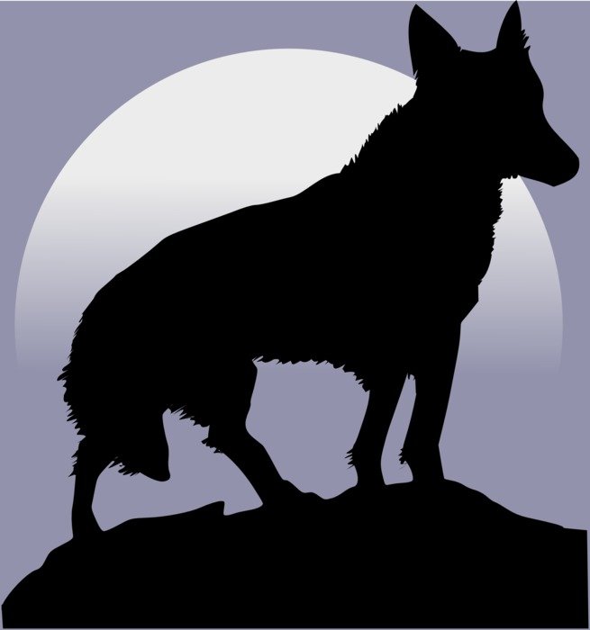 Silhouette of a wolf on a rock against the background of the moon