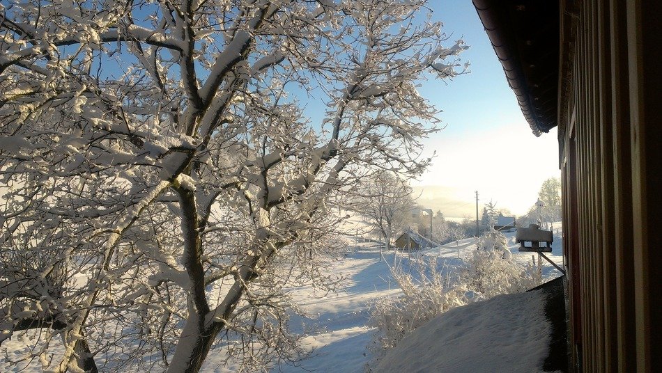 Landscape of winter blast