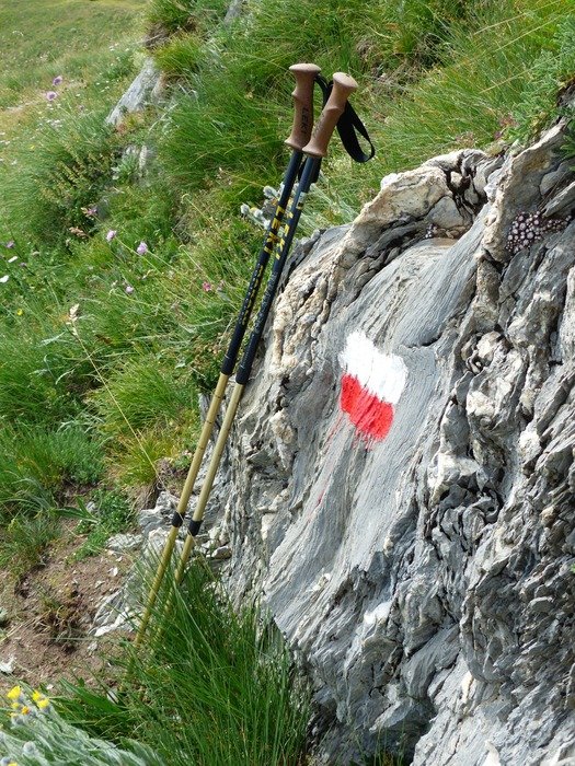 Hiking poles and signpost