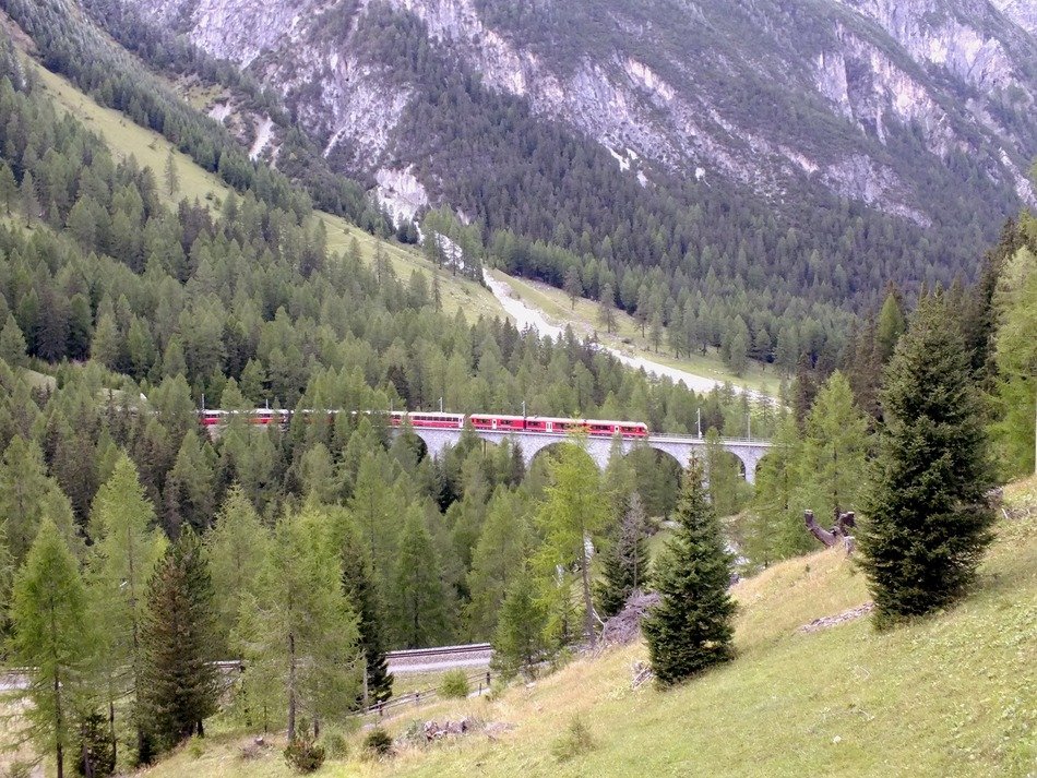 viaduct on the background of mountain nature with forest