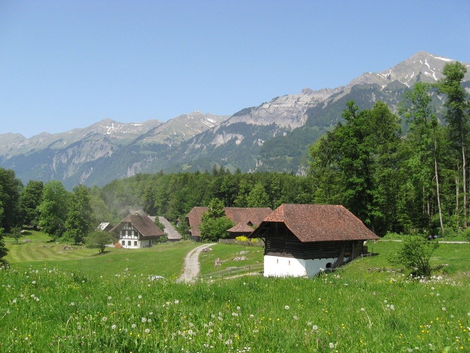 village on meadow at forest and mountains