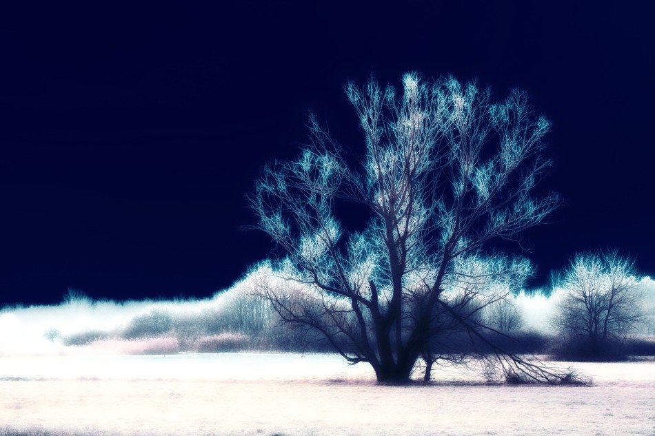 surreal landscape with tree