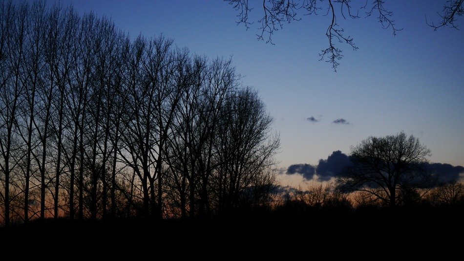 Nature at sunset