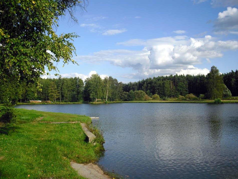 Wonderful views of a lake in Switzerland