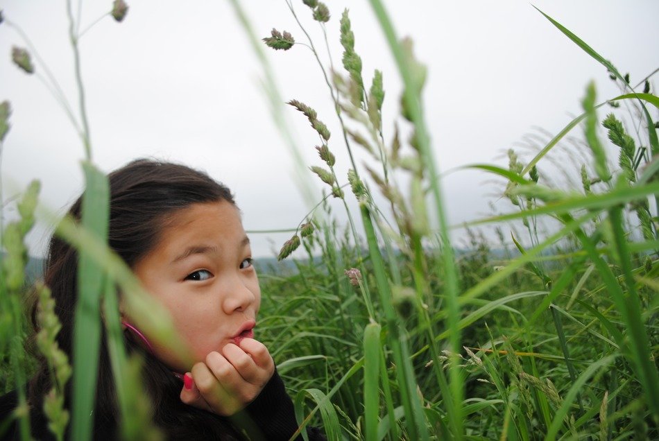girl in the field