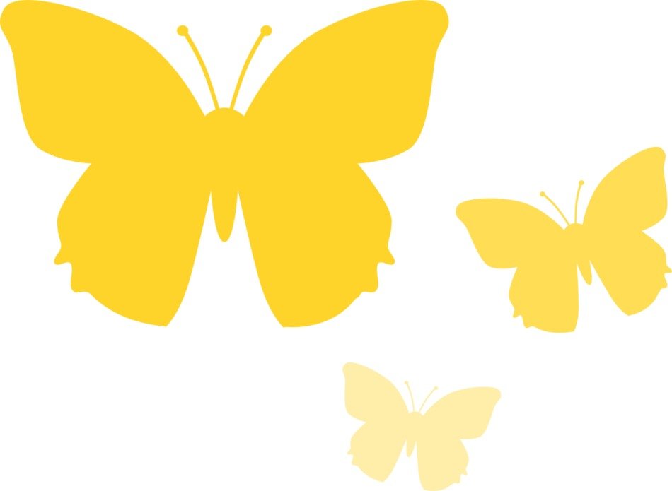 Yellow butterflies on a white background