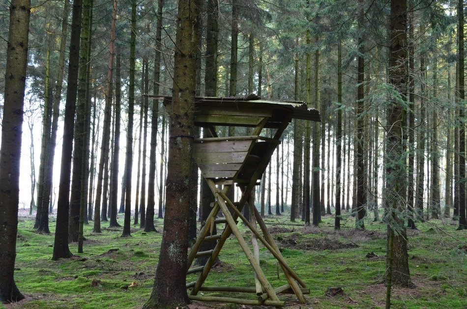 hunting place in the forest